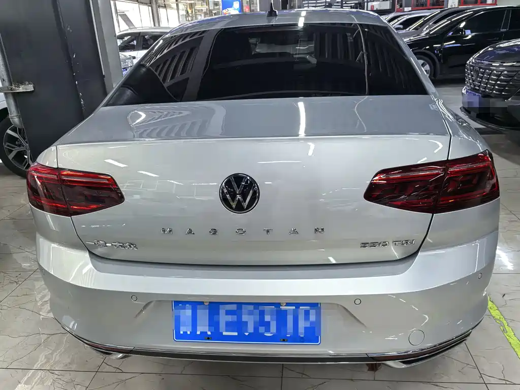 Volkswagen Magotan 330TSI DSG Leading Type, фото 5
