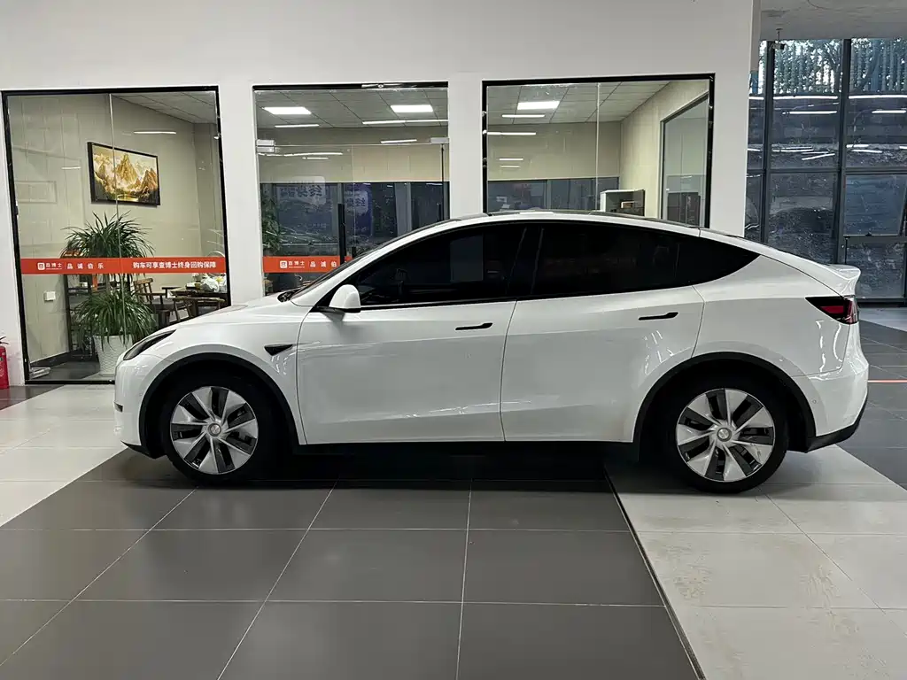 Tesla Model Y — миниатюра 7