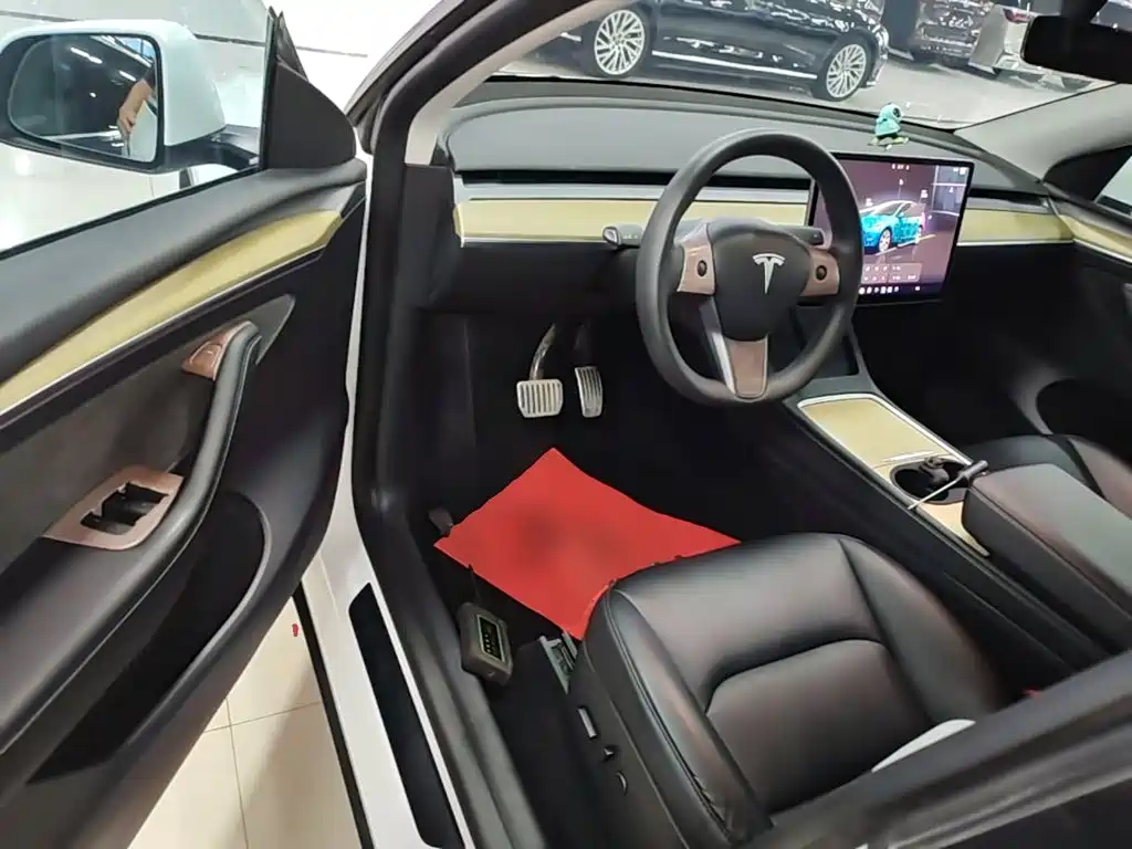 Tesla Model Y — миниатюра 16