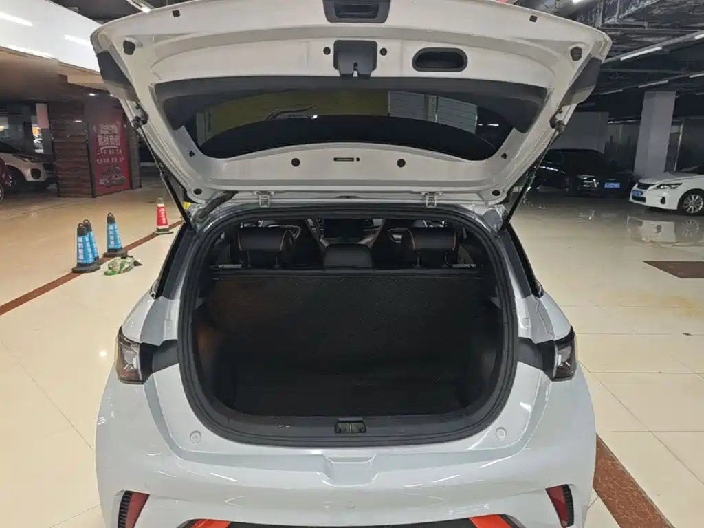 BYD Dolphin — миниатюра 19