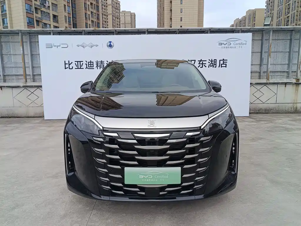 BYD Xia — миниатюра 2