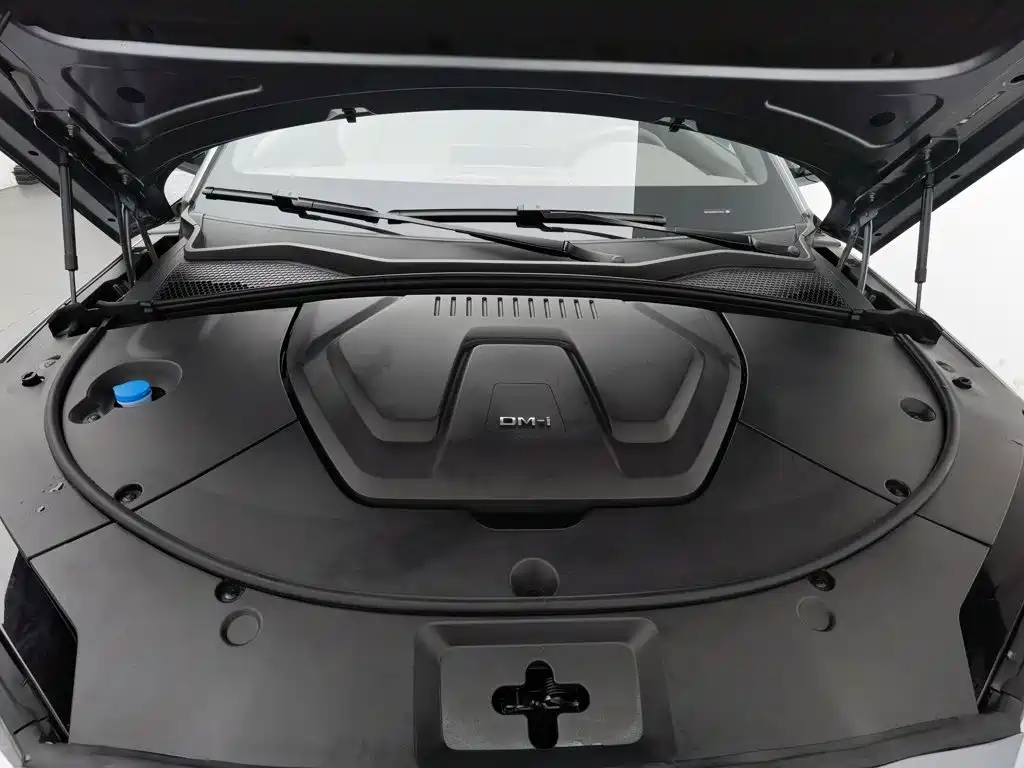 BYD PLUS New Energy — миниатюра 6