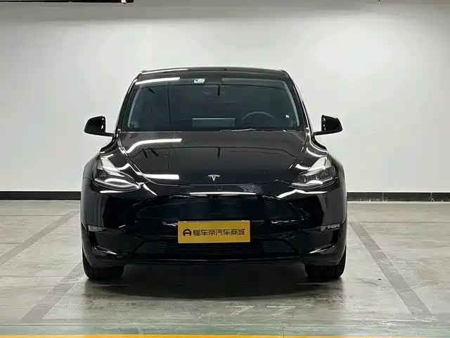 Tesla Model Y — миниатюра 3