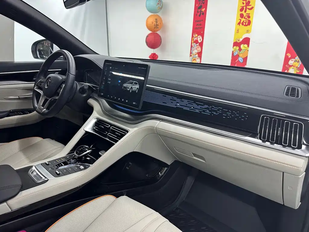 BYD PLUS New Energy — миниатюра 24