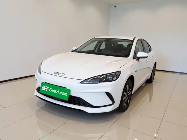 2025 BYD Sea Lion