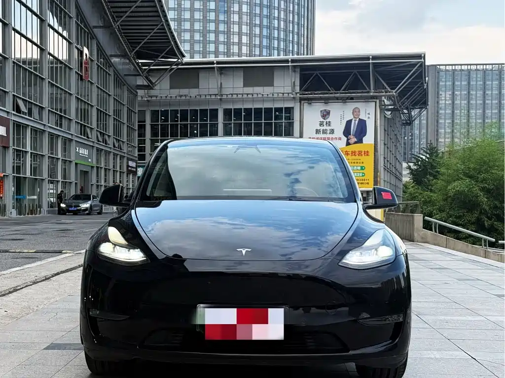 Tesla Model Y — миниатюра 2