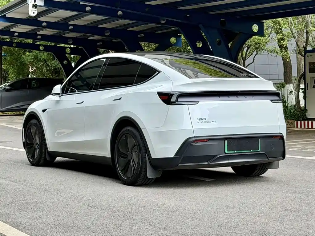 Tesla Model Y — миниатюра 6
