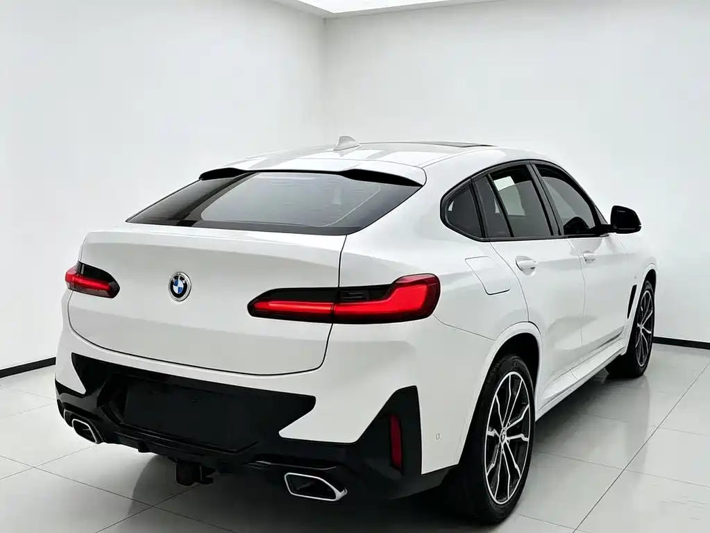 BMW X4 — миниатюра 16