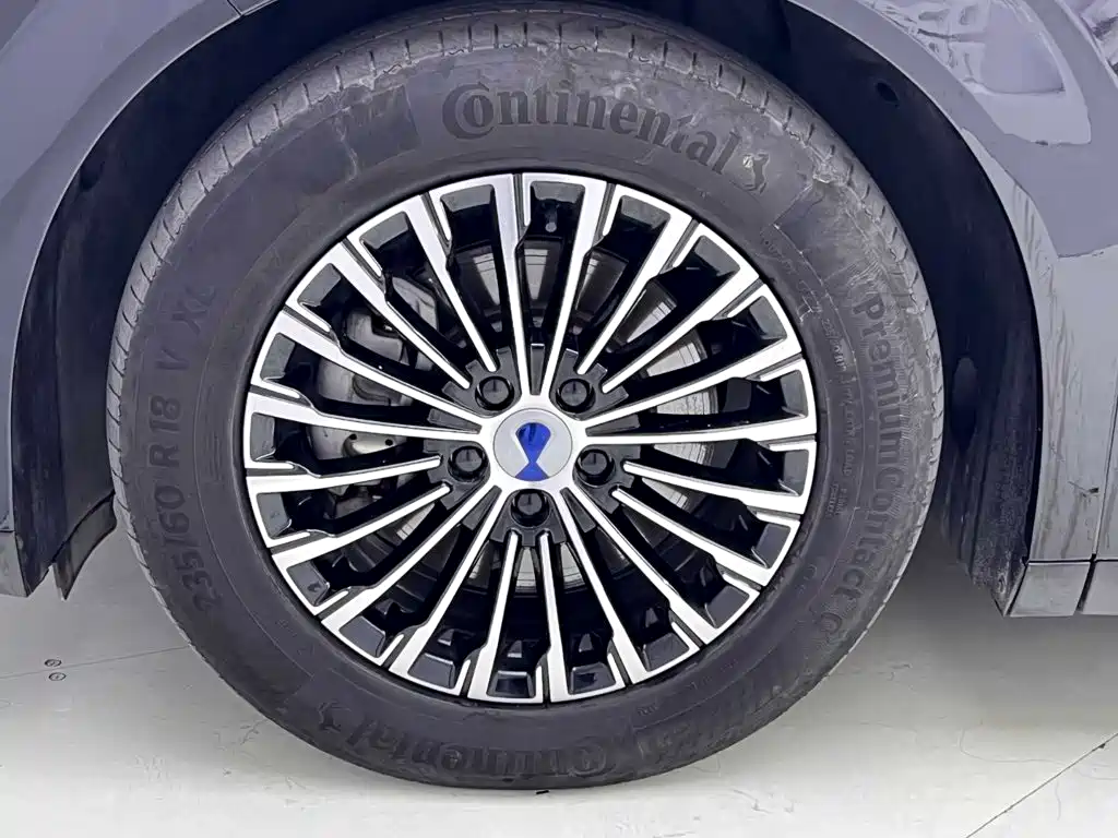 Denza Denza D9 — миниатюра 12