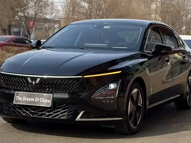 WULING WULING STARLIGHT 2024