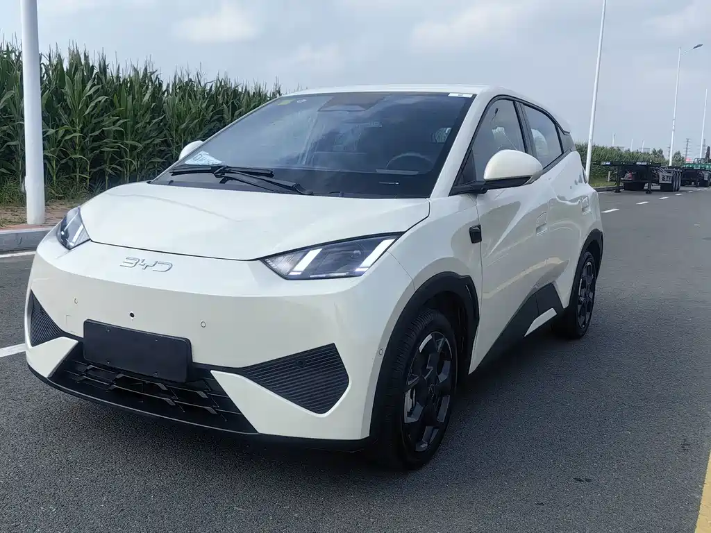 BYD Seagull