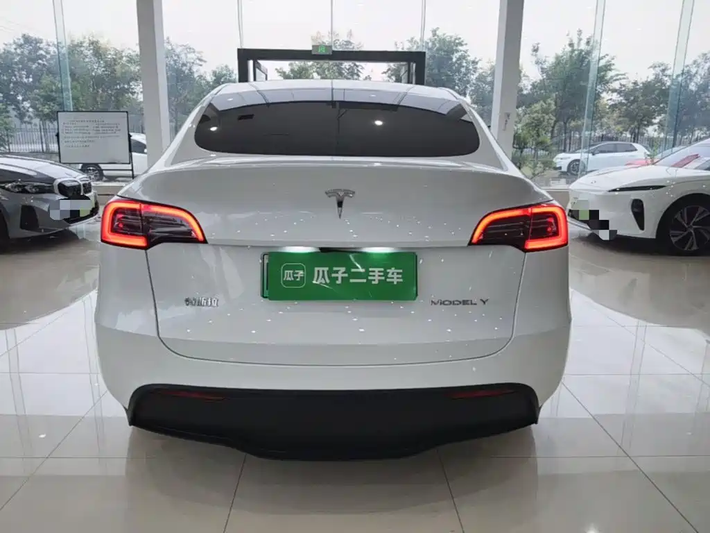Tesla Model Y — миниатюра 6