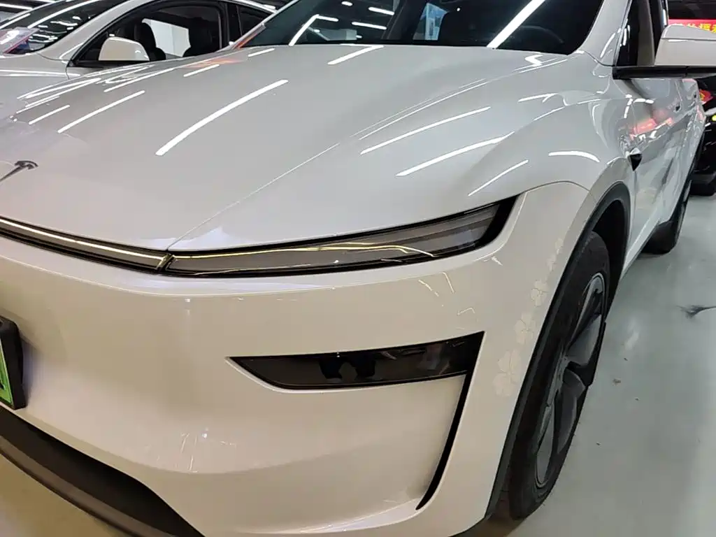 Tesla Model Y — миниатюра 24