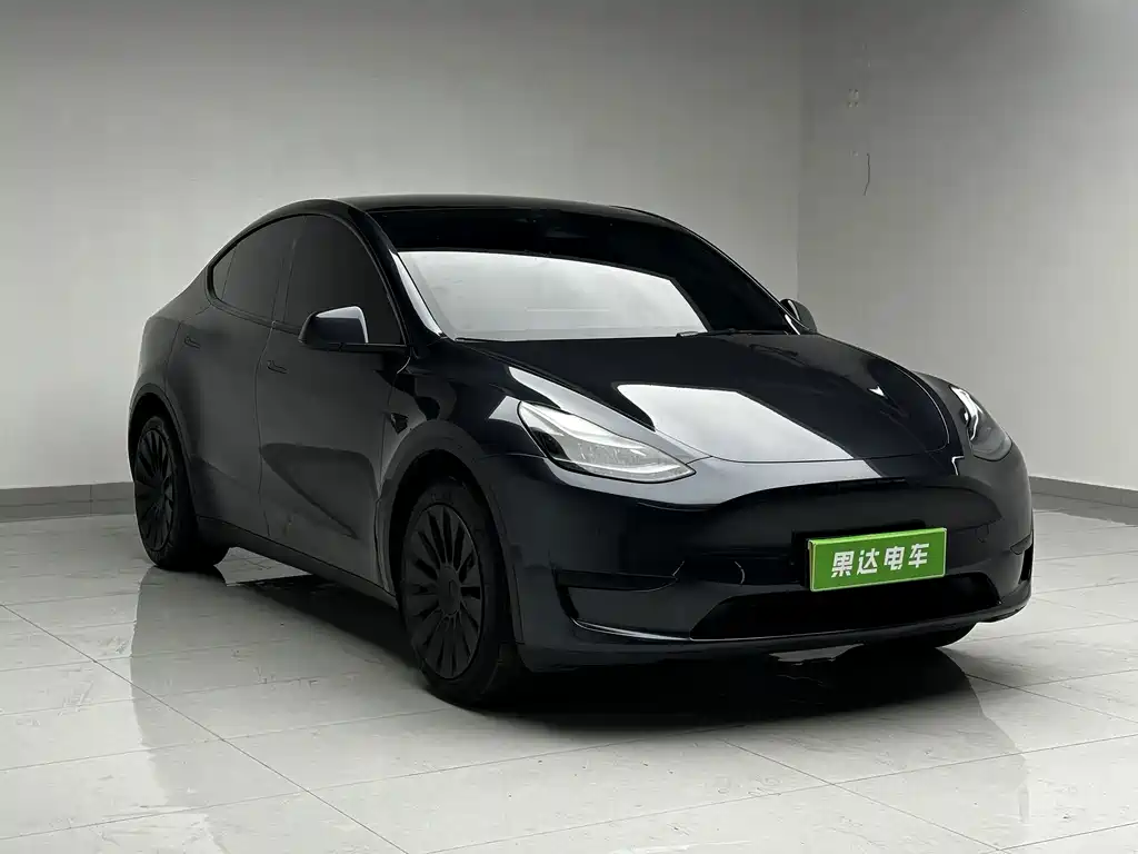 Tesla Model Y — миниатюра 3