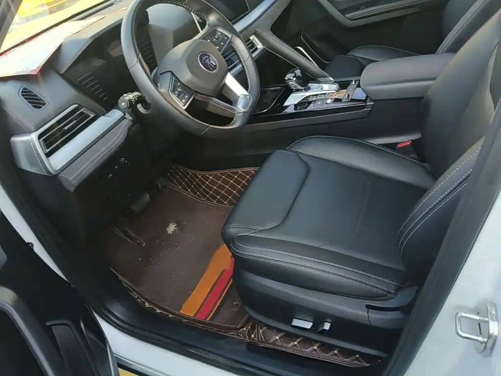 BYD Pro New Energy — миниатюра 14
