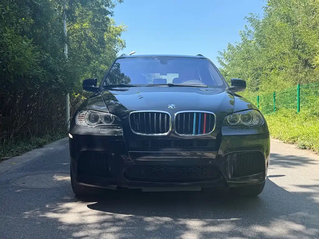 BMW X5 M — миниатюра 2
