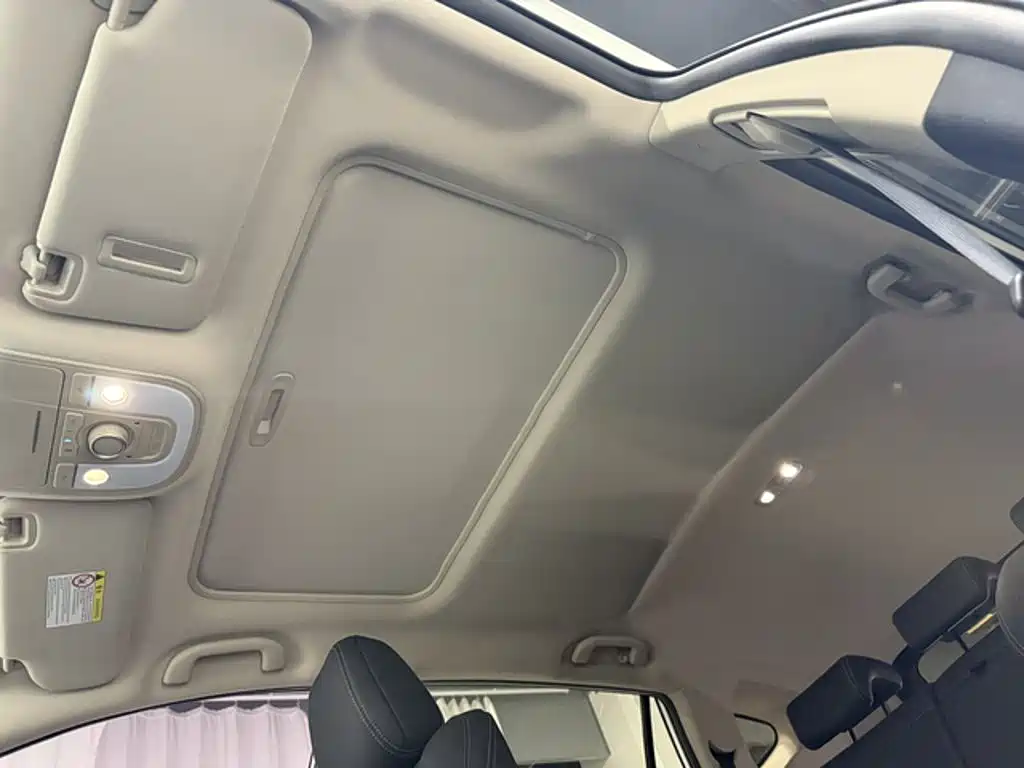 BYD Song — миниатюра 7