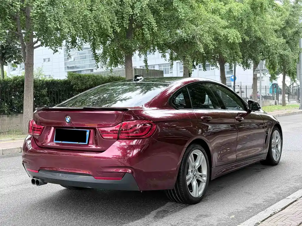 BMW 4 Series — миниатюра 4