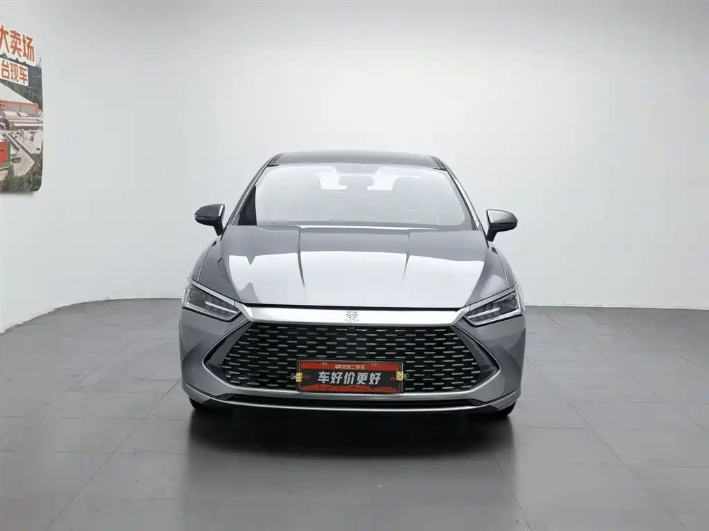 BYD Qin Plus PLUS 2024 DM-i 55KM Lead