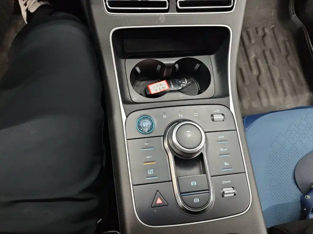 BYD Destroyer 05 2023 Champion DM-i 55KM Luxury