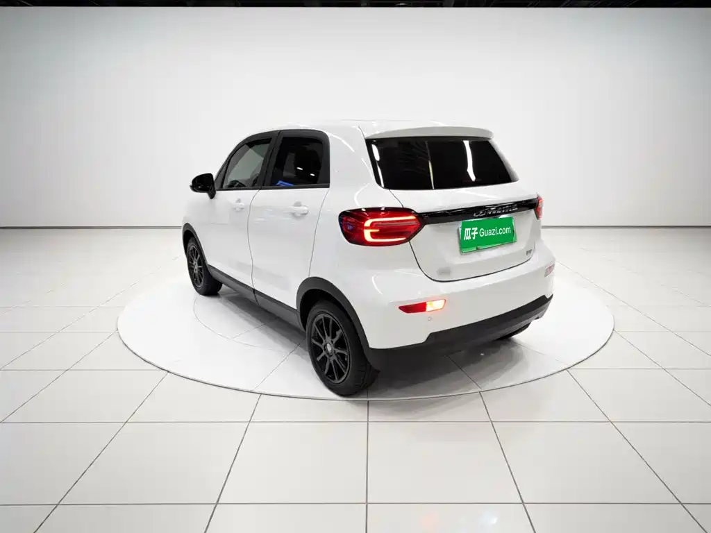Leapmotor T03 2025 310