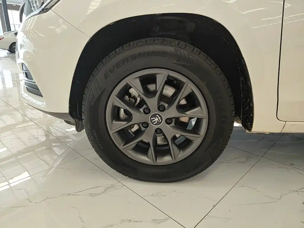 BYD Song — миниатюра 23