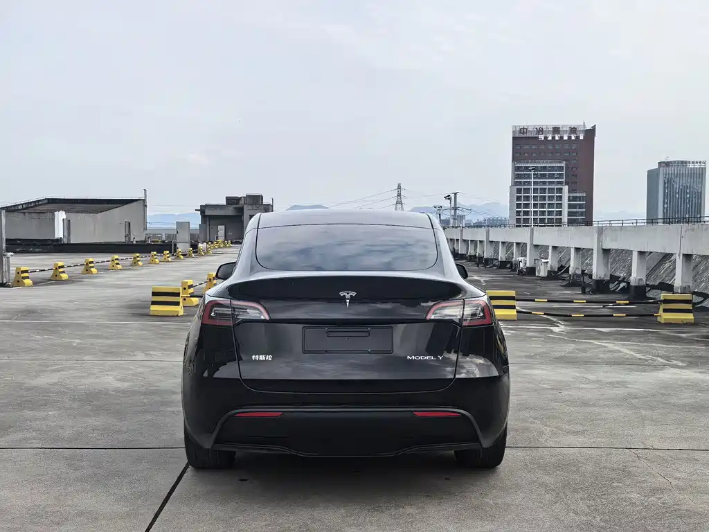 Tesla Model Y — миниатюра 5