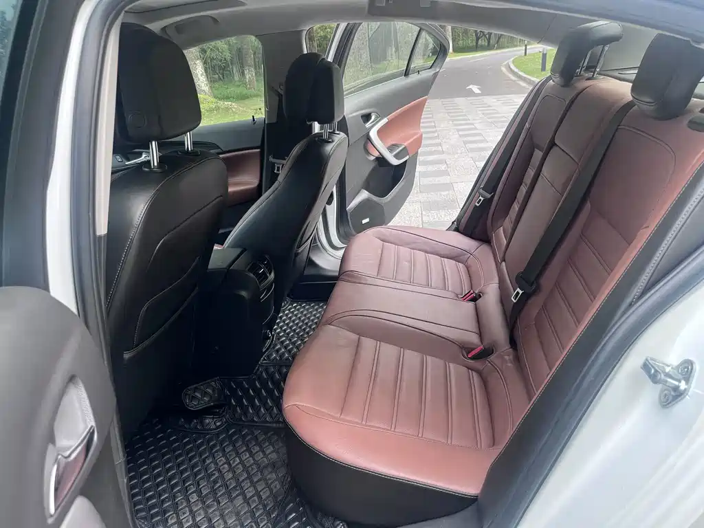 Buick Regal — миниатюра 15