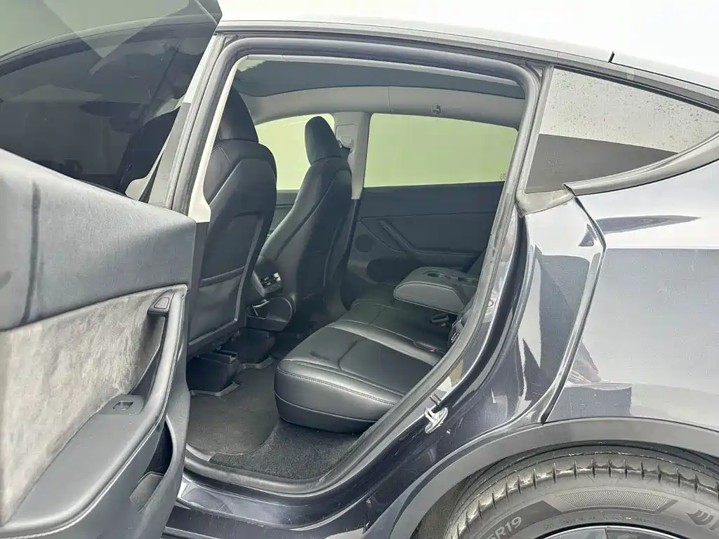 Tesla Model Y — миниатюра 14