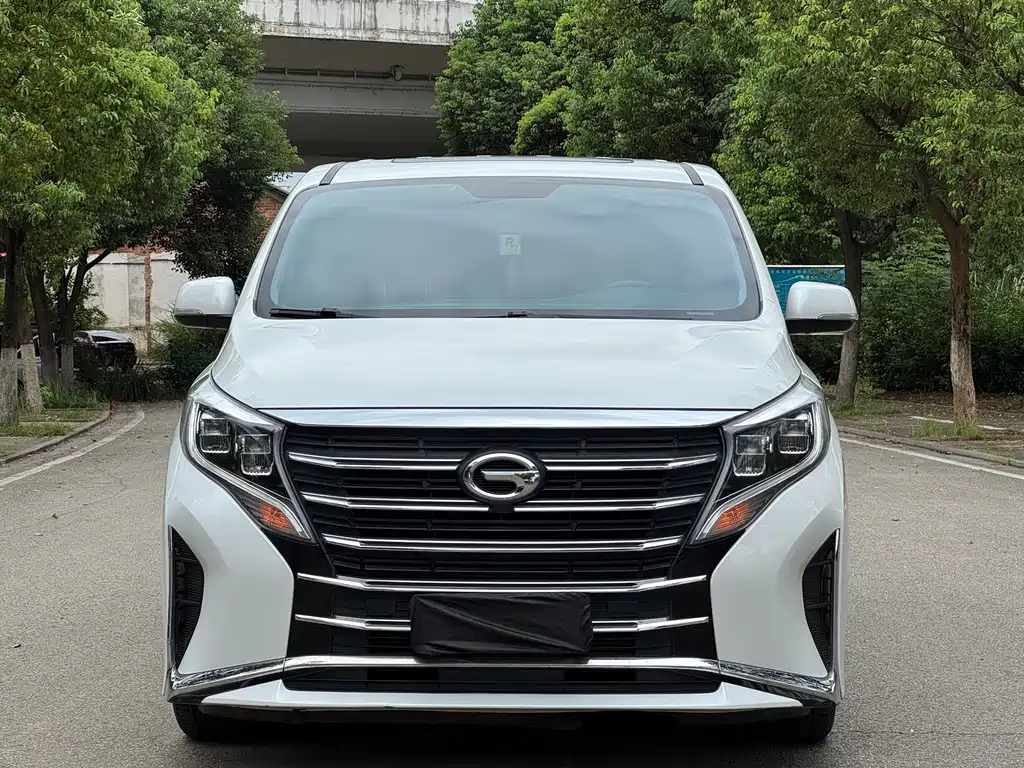 GAC Motor Trumpchi M8 — миниатюра 2