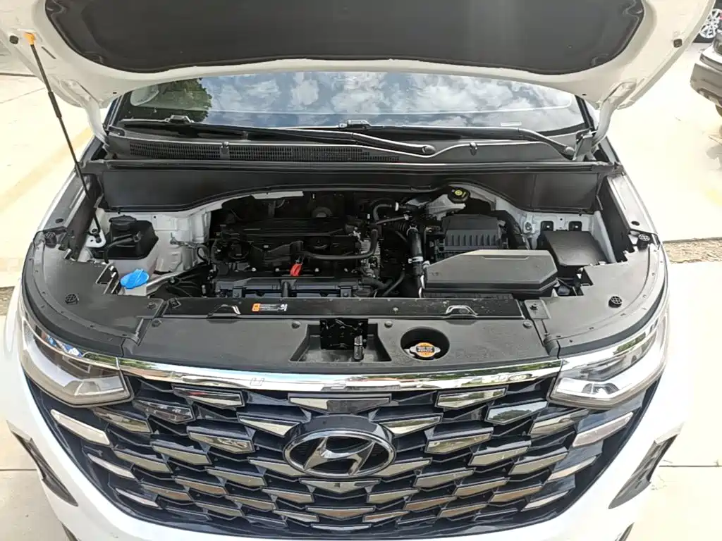 Hyundai Custo — миниатюра 20