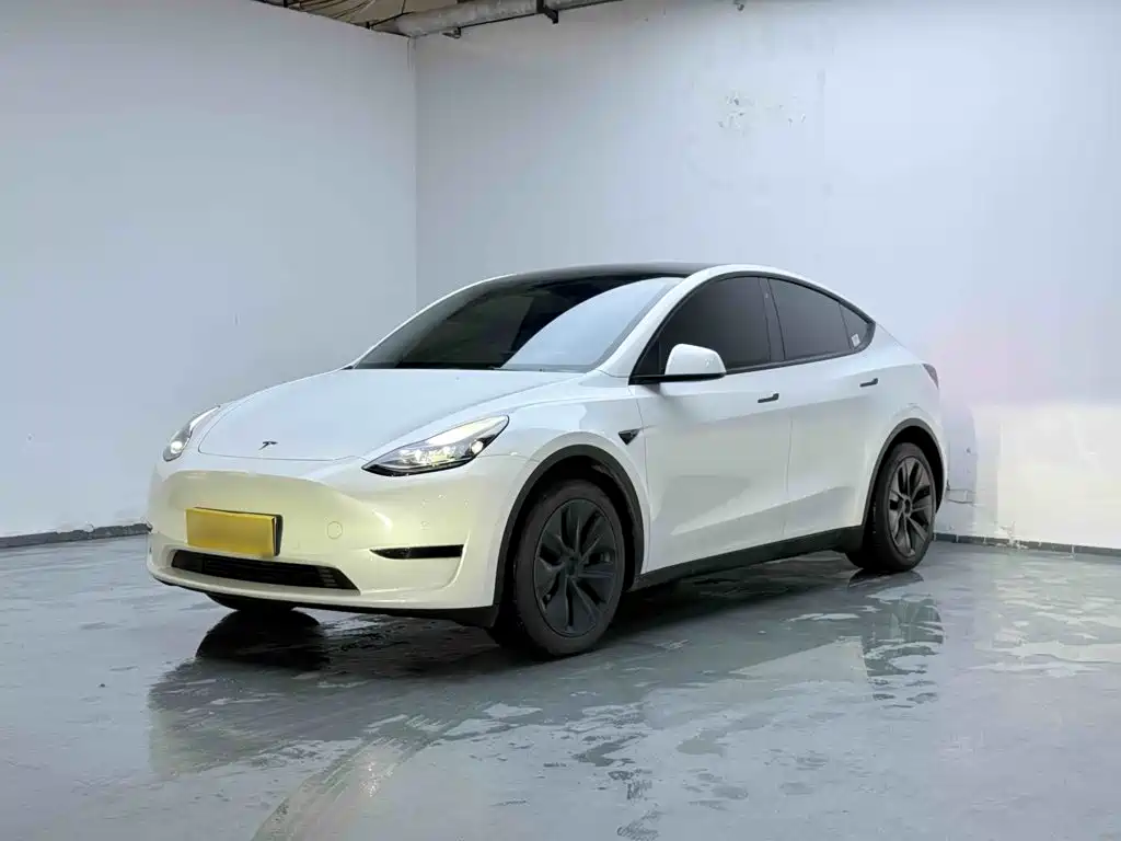 Tesla Model Y — миниатюра 2