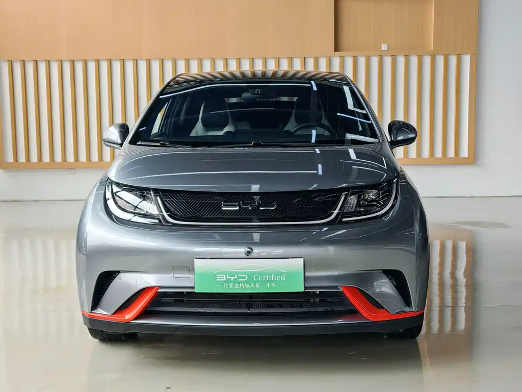 BYD Dolphin — миниатюра 2