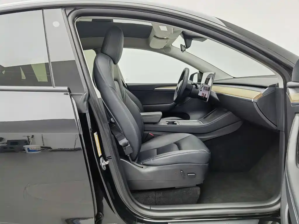 Tesla Model Y — миниатюра 23