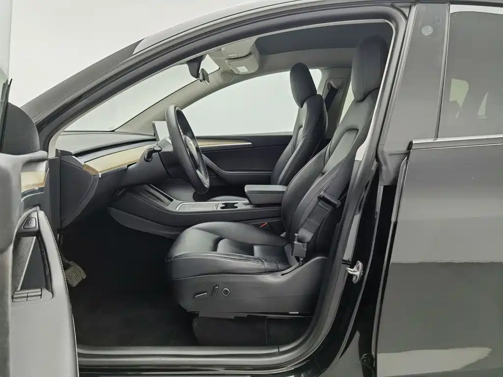 Tesla Model Y — миниатюра 10