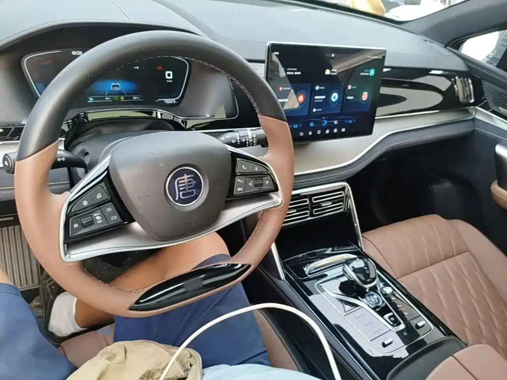 BYD Tang New Energy — миниатюра 10