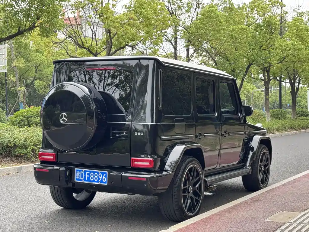 Mercedes-Benz G-Class G 2010 G 500