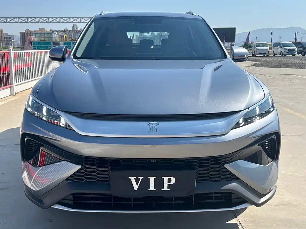 BYD Pro New Energy — миниатюра 2
