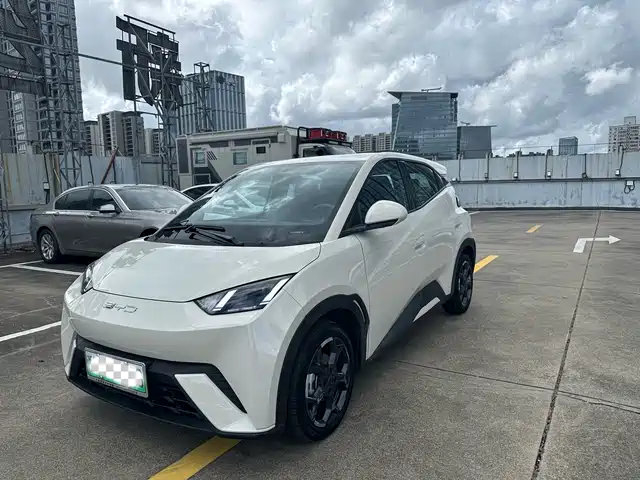BYD 海鸥