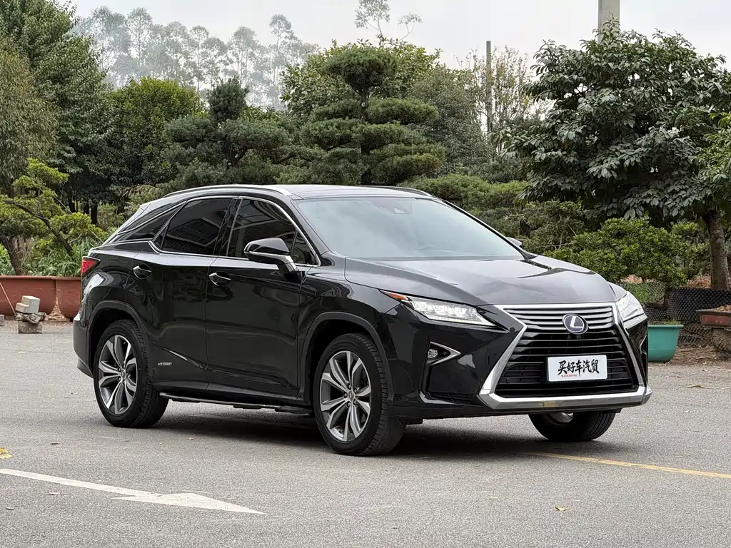 LEXUS RX