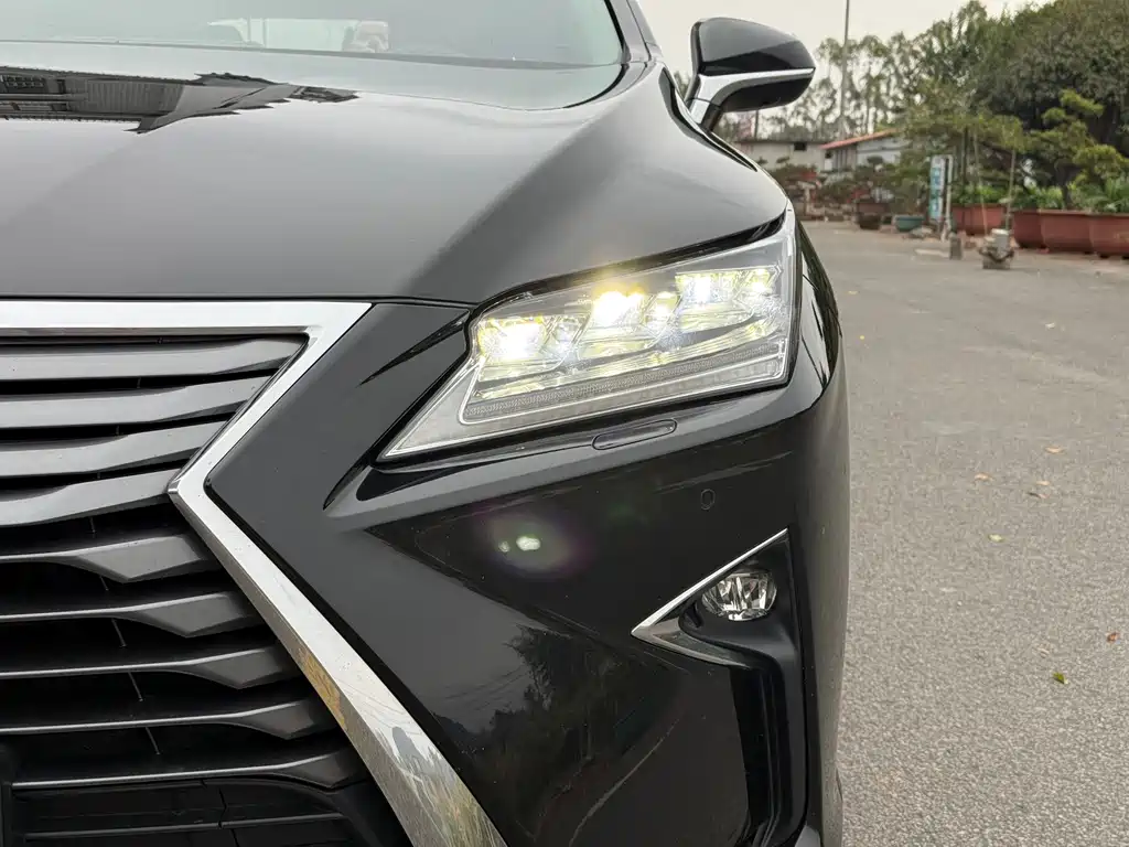 LEXUS RX