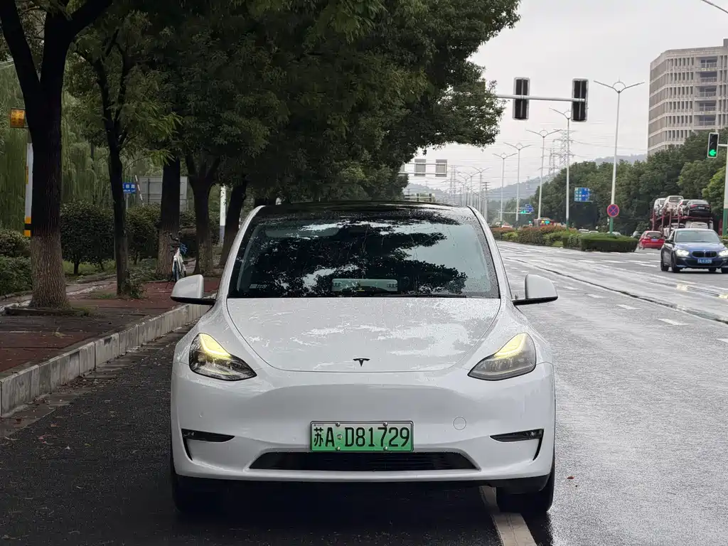 Tesla Model Y — миниатюра 9