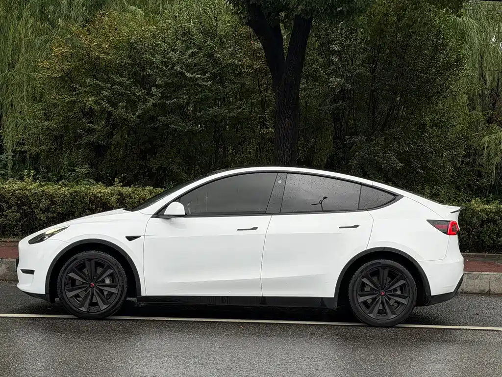 Tesla Model Y — миниатюра 3