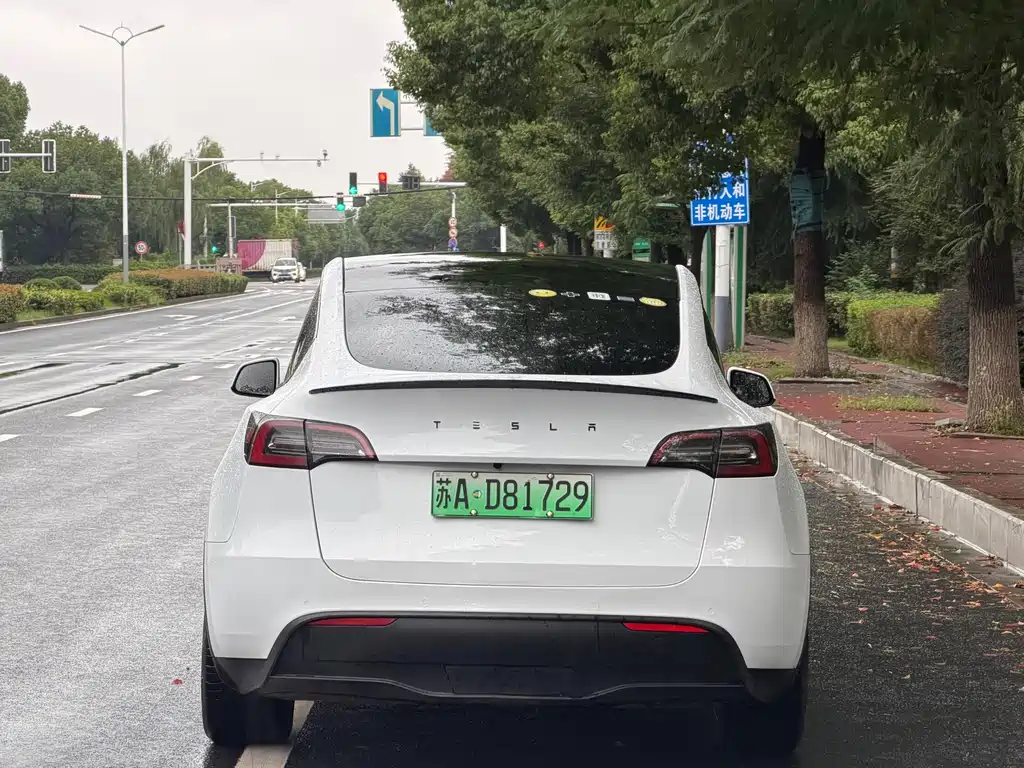 Tesla Model Y — миниатюра 5