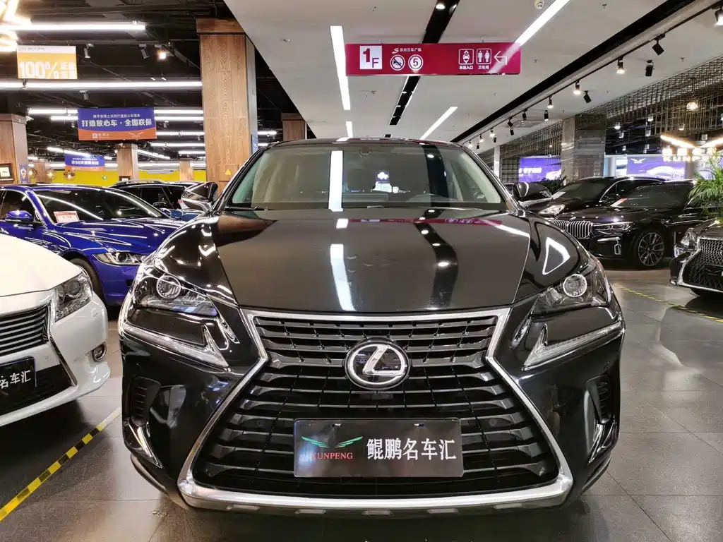 Lexus NX — миниатюра 2