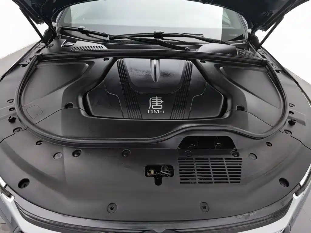 BYD Tang New Energy — миниатюра 6