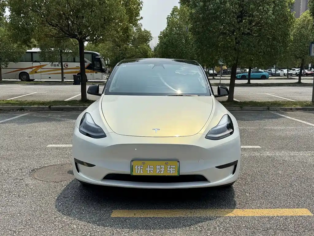 Tesla Model Y — миниатюра 3