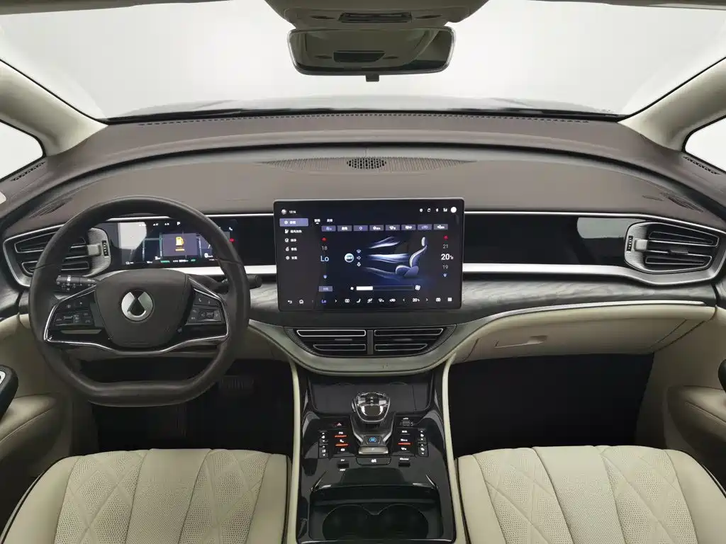 Denza Denza D9 — миниатюра 5