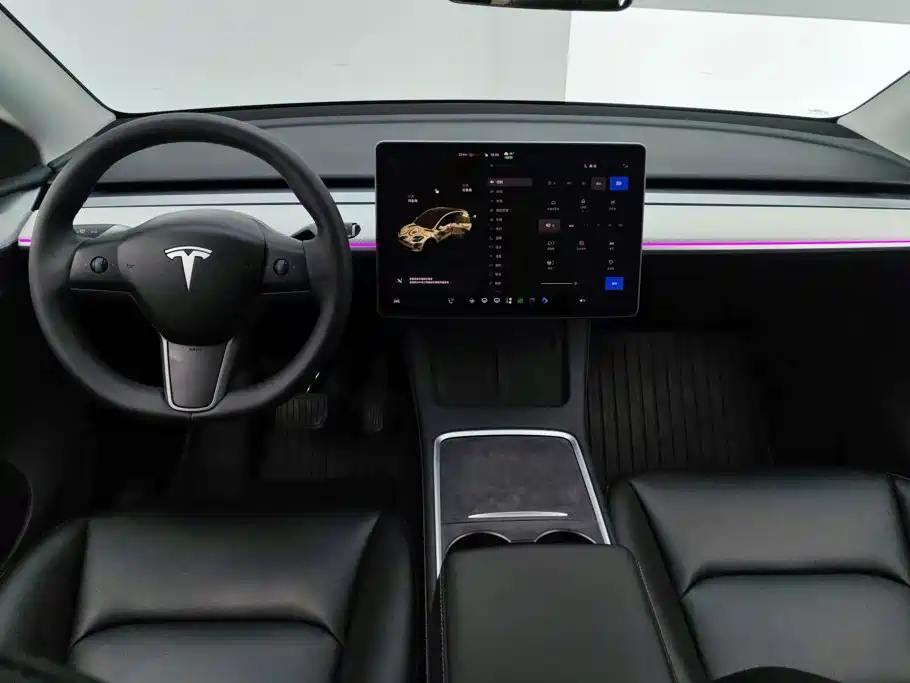 Tesla Model Y — миниатюра 12