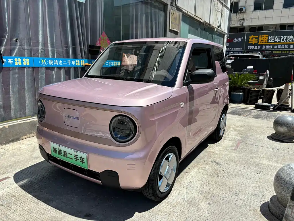 Galaxy Panda 2024